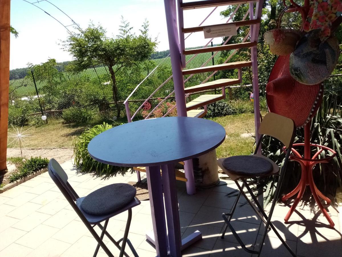 Penzion Slunce Nad Vinnym Sklepem Moravská Nová Ves Zewnętrze zdjęcie