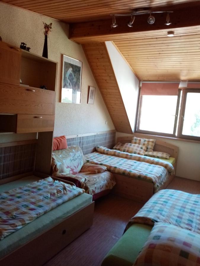 Penzion Slunce Nad Vinnym Sklepem Moravská Nová Ves Zewnętrze zdjęcie