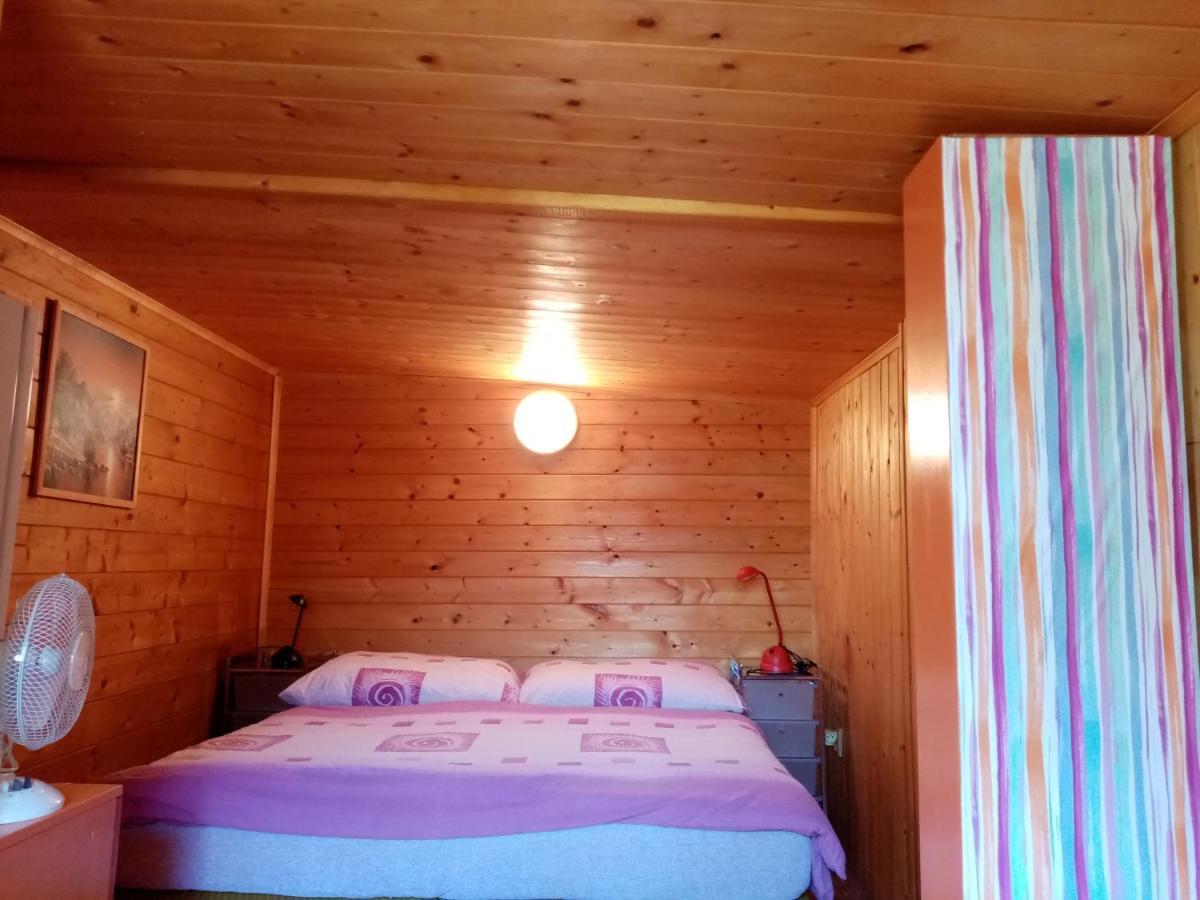 Penzion Slunce Nad Vinnym Sklepem Moravská Nová Ves Zewnętrze zdjęcie