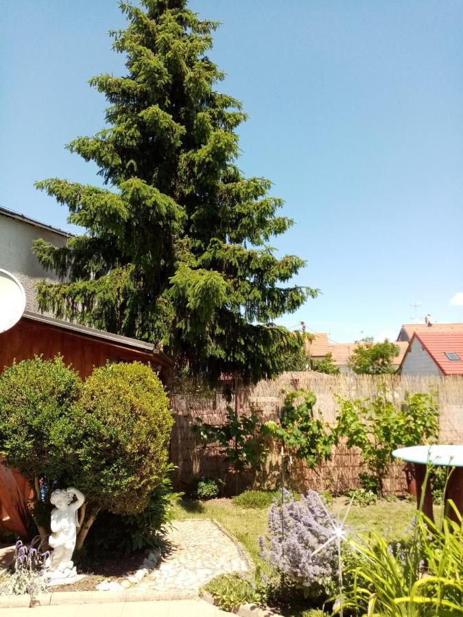 Penzion Slunce Nad Vinnym Sklepem Moravská Nová Ves Zewnętrze zdjęcie
