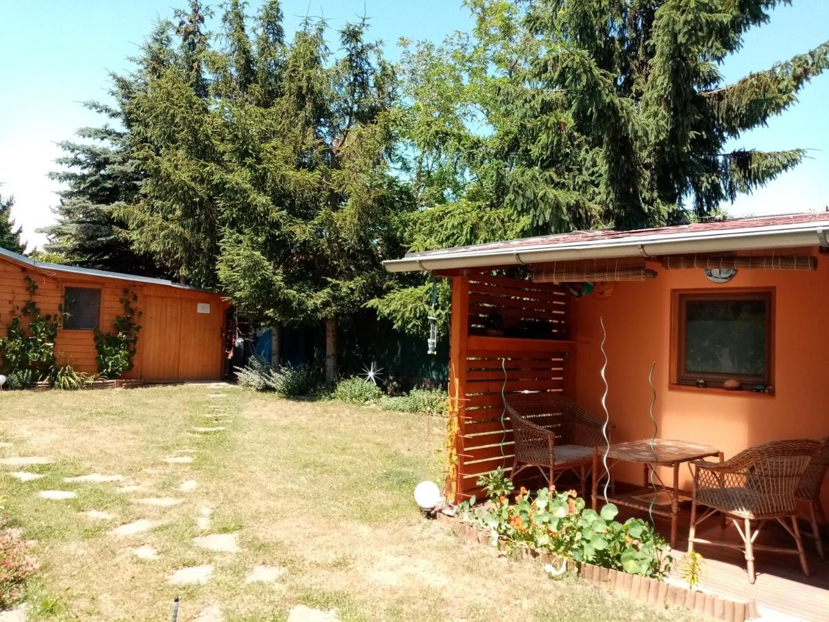 Penzion Slunce Nad Vinnym Sklepem Moravská Nová Ves Zewnętrze zdjęcie