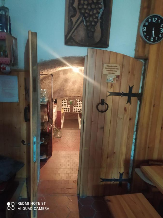 Penzion Slunce Nad Vinnym Sklepem Moravská Nová Ves Zewnętrze zdjęcie