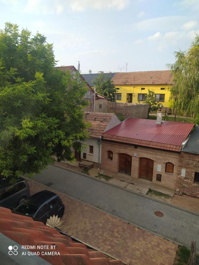 Penzion Slunce Nad Vinnym Sklepem Moravská Nová Ves Zewnętrze zdjęcie