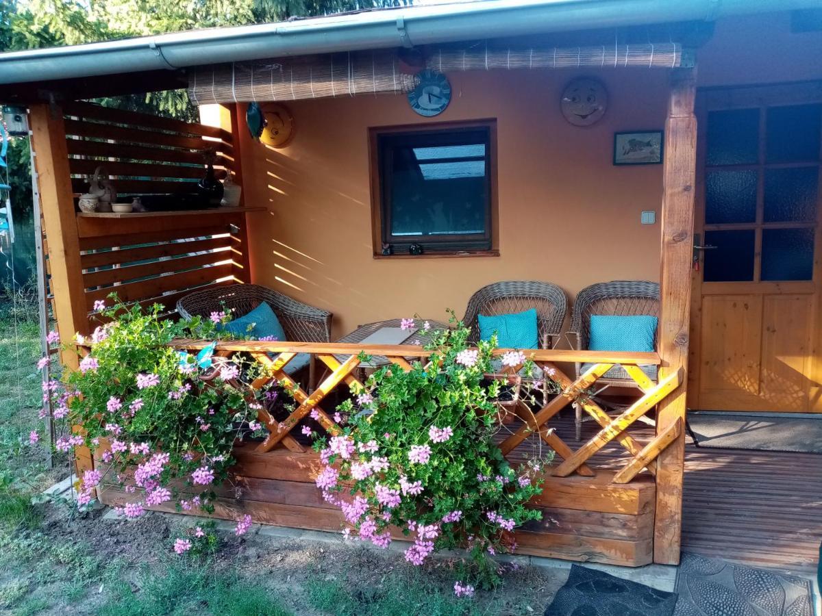 Penzion Slunce Nad Vinnym Sklepem Moravská Nová Ves Zewnętrze zdjęcie
